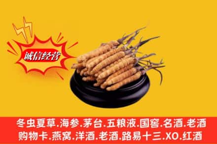 阿坝金川县名酒回收冬虫夏草.jpg